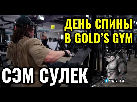 Видео: ДЕНЬ СПИНЫ В GOLD'S GYM | СЭМ СУЛЕК НА РУССКОМ