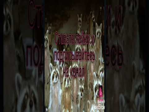 Видео: Nekto.me. Вирт с сюжетом