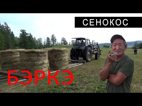 Видео: СЕНОКОС. Вспоминая лето.