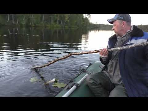 Видео: Рыбалка в Карелии на лесном озере!