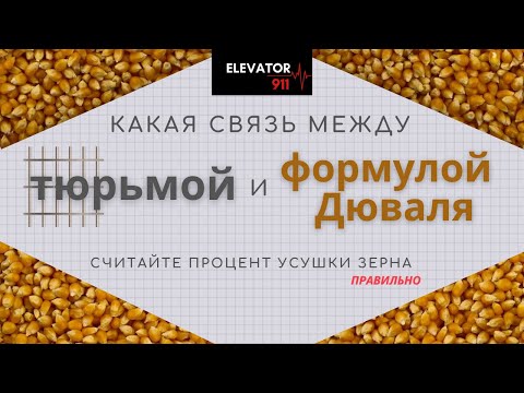 Видео: Формула Дюваля. Расчёт усушки зерна.