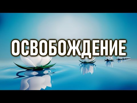 Видео: Верхом на чуде | ОШО