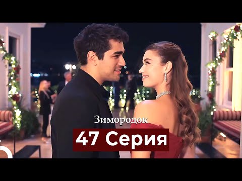 Видео: Зимородок 47 Cерия (Русский дубляж)