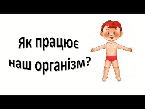 Видео: Урок 85 . Організм людини.  "Як працює наш організм?"  Я досліджую світ 3 клас.