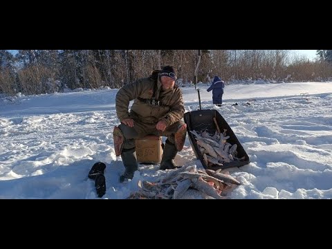 Видео: Река Етыпур ! Давно такой раздачи не было! Крупный окунь и язь дали жару!