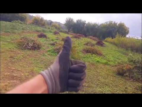 Видео: Продолжаю Уборку огорода I часть 3