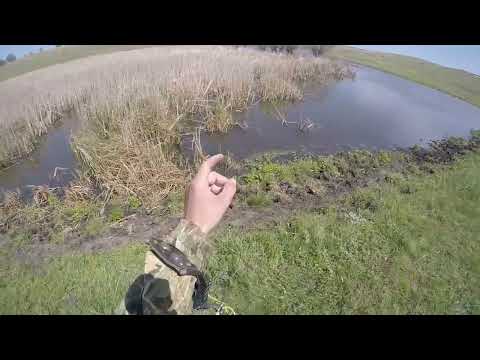 Видео: Охота с рогаткой в Мае 2024.