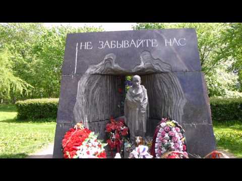 Видео: ВЛОГ Красное село | Прогулка | Стрижка | Котики