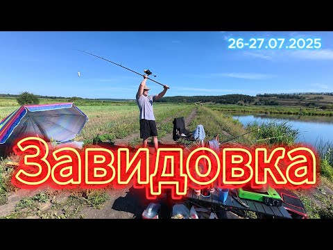 Видео: Рыбалка в с. Завидовка.  Первый раз на этом пруду.