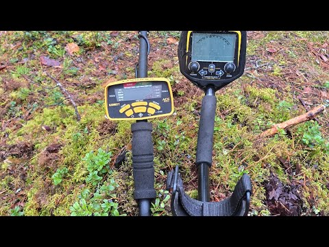 Видео: Tianxun TX-850 и Garrett ACE 300i - равные по цене, но разные ли по производительности?