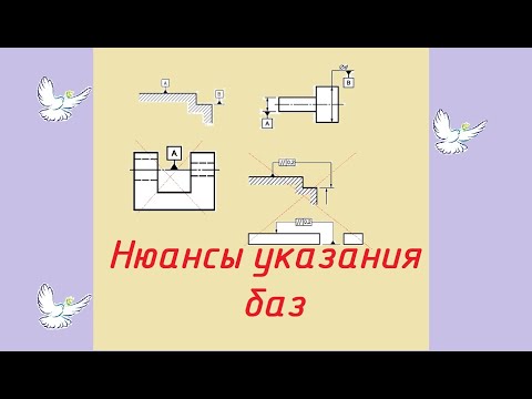 Видео: Нюансы указания баз