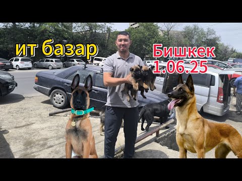 Видео: Ит базар Бишкек 1.06.25