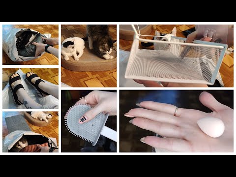 Видео: Temu шок: 31 товар, который реально удивил!