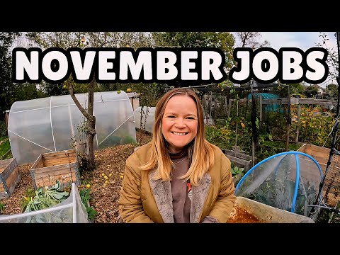 Видео: Присоединяйтесь ко мне на моем участке!