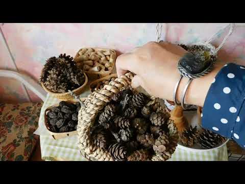 Видео: Готовим сани летом !! Сбор  природного материала.