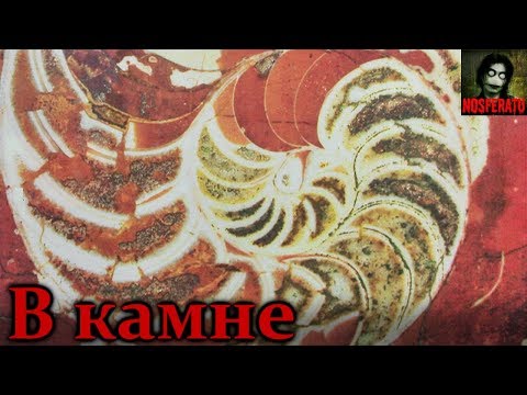 Видео: Истории на ночь - В камне