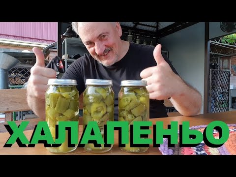 Видео: ПЕРЕЦ ХАЛАПЕНЬО ОТ ПОСАДКИ ДО ПРИГОТОВЛЕНИЯ. РЕЦЕПТЫ СЮФ