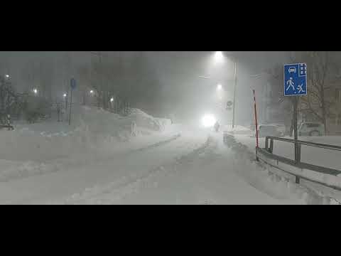 Видео: 24 марта 2025 г. Петропавловск-Камчатский,  первая сильная пурга в этом году