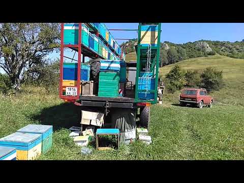 Видео: Пчелоприцеп и электро захват