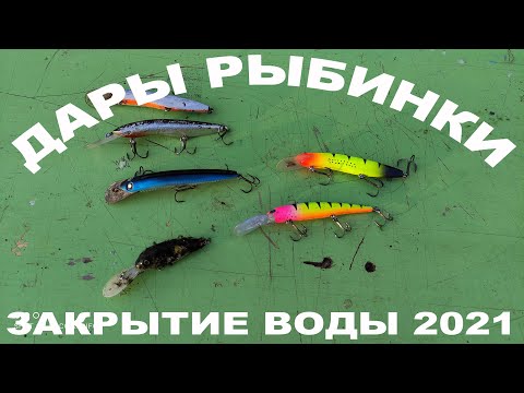 Видео: Рыбинка обмелела! Закрытие жидкой воды 2021 на Рыбинском водохранилище! Подгоны от Рыбинки!
