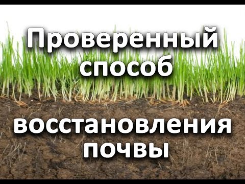 Видео: Проверенный способ восстановления почвы.