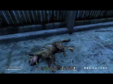 Видео: Dayz / UA Anomalsk PVE /Новий Сезон 15 cерійка