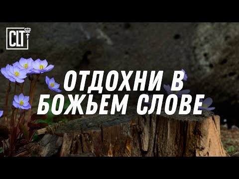 Видео: Вечерняя тишина с Божьим присутствием #Бог_Рядом #Покой_В_Сердце