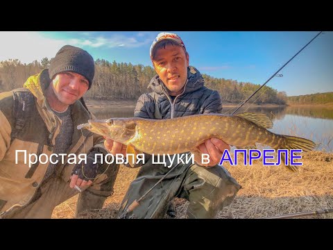 Видео: Простая ловля щуки в апреле