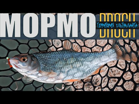 Видео: ОТКРЫТИЕ СЕЗОНА РЫБАЛКИ НА МОРМЫШКУ ► МОРМЫШИНГ