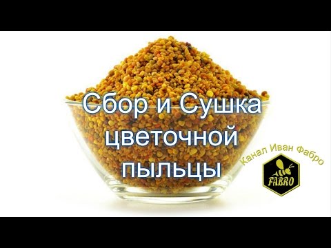 Видео: Сбор и сушка цветочной пыльцы