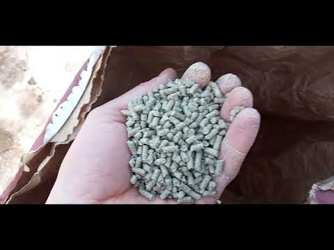 Видео: Комбікорм для кролів