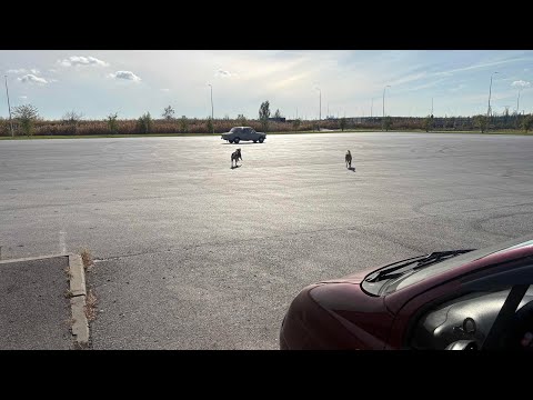 Видео: 🔆ЮЖНЫЙ🔆 ростовский октябрь
