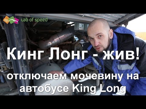 Видео: Нечто королевской длины, или Кинг Лонг - жив