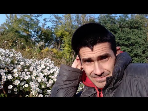 Видео: Интересно ЗНАТЬ и СМОТРЕТЬ как заработать ??? БЕЗНАДЕГА