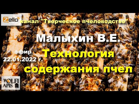 Видео: 22.01.22 г. Z-рация, канал "#Творческое_пчеловодство" #Малыхин В.Е. #Технология_содержания_пчел