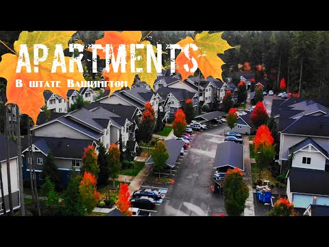 Видео: • Жизнь в КАРТОННОЙ КВАРТИРЕ в США | Апартаменты в штате Вашингтон | $2500 за ХАТУ?
