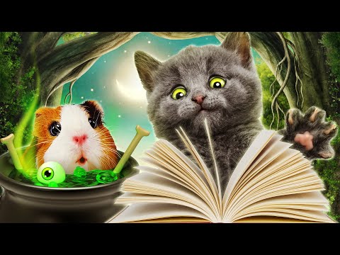 Видео: Попали в РЕАЛЬНУЮ СКАЗКУ - Колобок - Свинка Бузя Челлендж в Реальной Жизни Последняя Часть