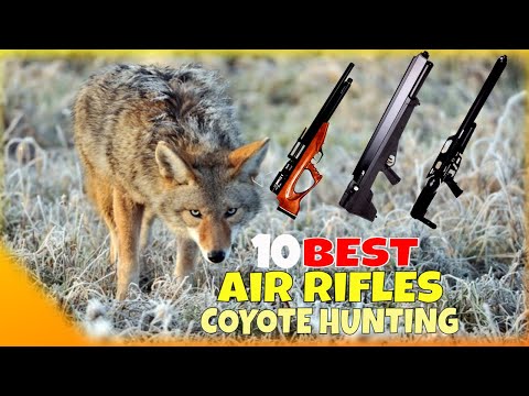 Видео: 10 лучших пневматических винтовок для охоты на койотов