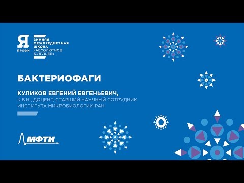 Видео: ЯПрофи. «Бактериофаги» Е. Е. Куликов. Зимняя школа
