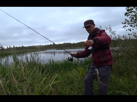 Видео: Рибалка на озері. Думав половить на фідер, а прийшлось ловить ультралайтом  кльов ОКУНЯ на озері