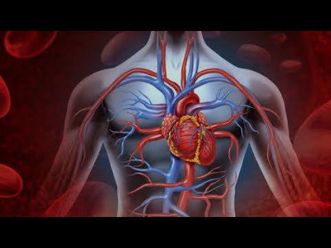 Видео: Поражение сосудов при сахарном диабете 2 типа #сахарныйдиабет #сосуды #холестерин 