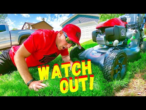 Видео: ПЕРЕД ТЕМ КОСИТЬ СВЕЖЕПОСЕЯННЫЙ ГАЗОН, ПОСМОТРИТЕ НА ЭТО!