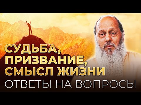 Видео: Судьба, призвание, смысл жизни. Ответы на вопросы.