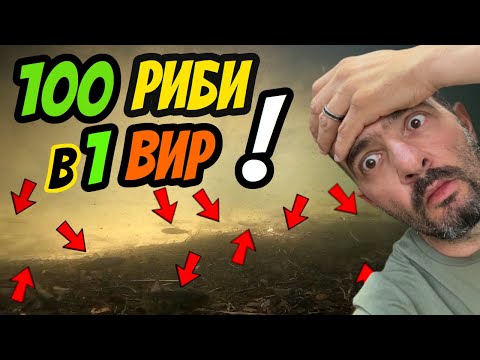 Видео: КАК се ловят БАЛКАНКИ на КЛАТУШКИ? Риболов на ПЪСТЪРВА на поточе!