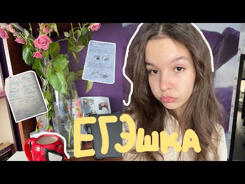 Видео: неделя из жизни ХИМБИО 🔖 / 10 класс