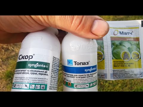 Видео: Плодожерка 2 покоління . Обробіток саду