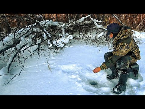 Видео: РЫБАЛКА НА БЕЗМОТЫЛКУ. НАШЁЛ СТАЮ ГОЛОДНОЙ РЫБЫ НА МАЛЕНЬКОЙ РЕКЕ.