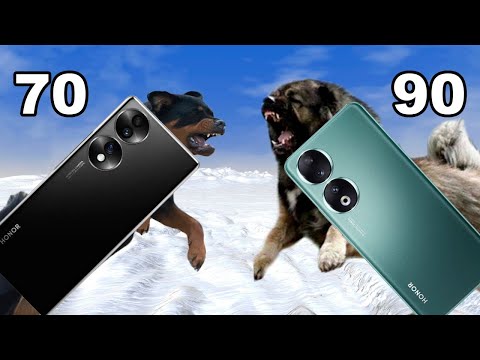 Видео: Honor 70 vs Honor 90. Сравнение камер. Camera test