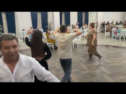 Видео: Туй Зумудг_Андароб