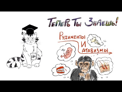 Видео: Рудименты и Атавизмы